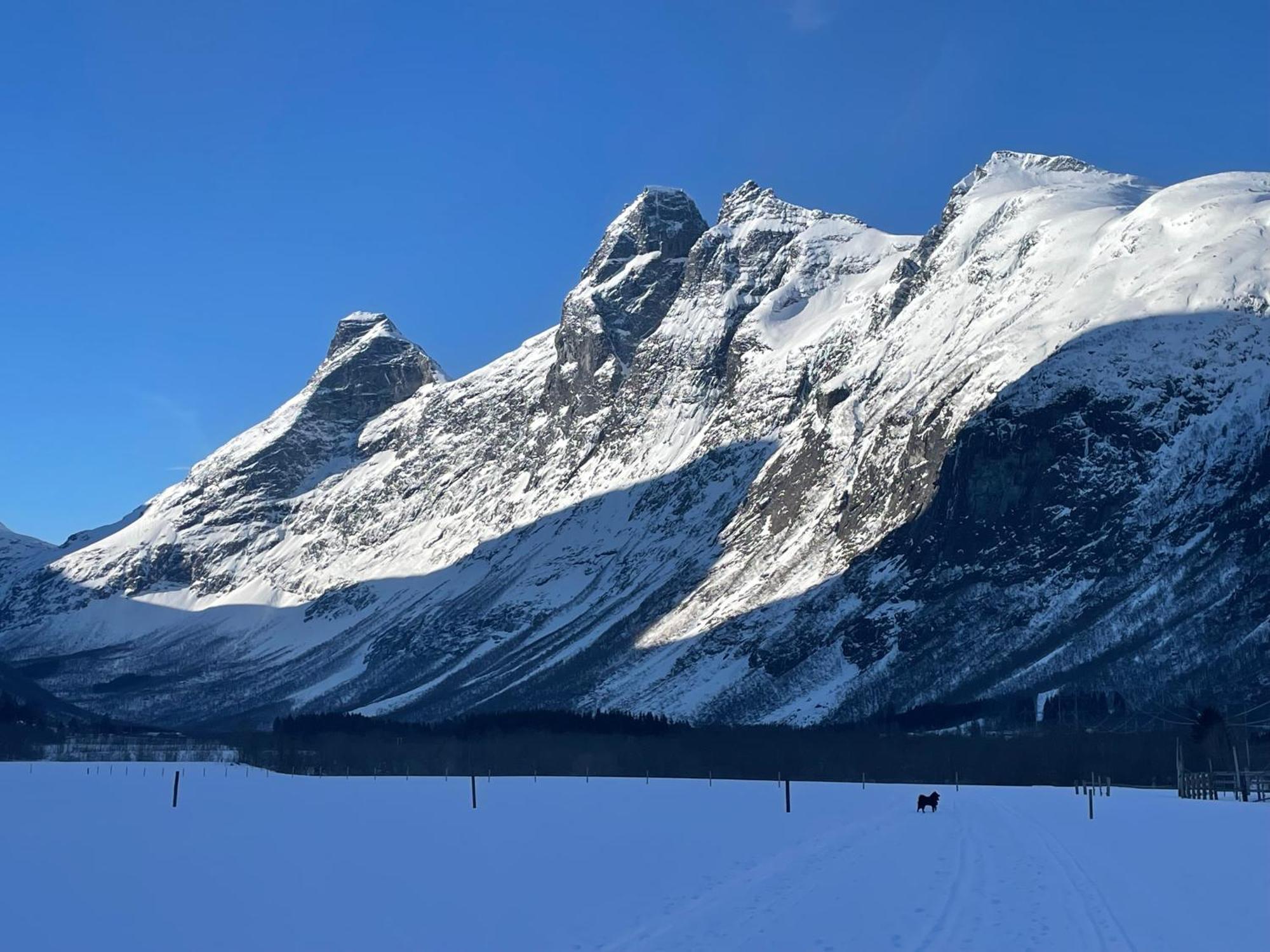 Apartment In The Heart Of Åndalsnes المظهر الخارجي الصورة